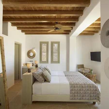 8br In Mykonos Villa