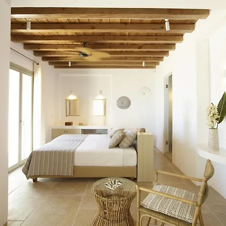 Villa 8br In Mykonos *